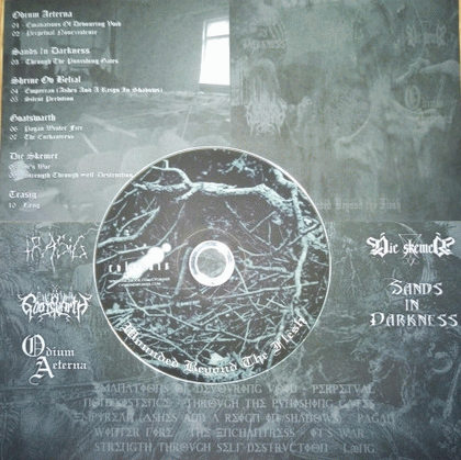 Trasig : Wounded Beyond the Flesh